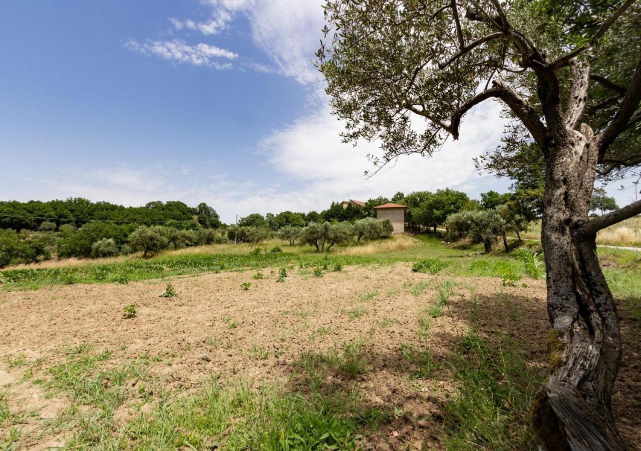 Agriturismo La Vammora Laviano Buitenkant foto