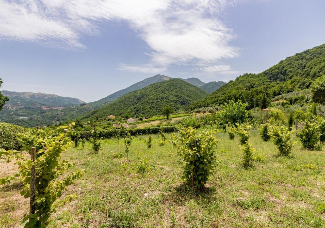Agriturismo La Vammora Laviano Buitenkant foto